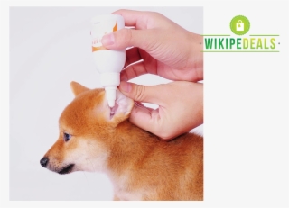 Pet Ear Cleaning Rinser - Hokkaido