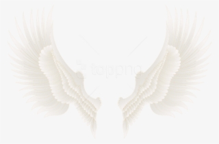 Free Png Download White Gold Wings Clipart Png Photo - Art Wings Png