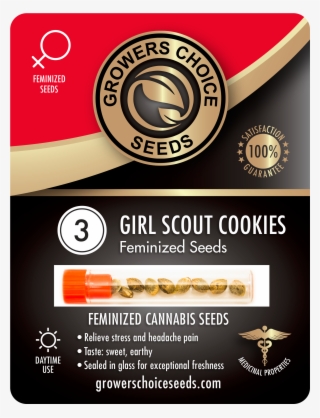 Home » Products » Girl Scout Cookies Feminized Cannabis - White Widow