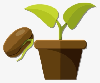 Snow Pea Flowerpot And Potted Plants Vector - Semillas Y Plantas Png