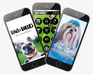 Photo Of Example Of Custom Pet Grooming Business Apps - Iphone