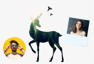Cool Frames - Reindeer Dasher