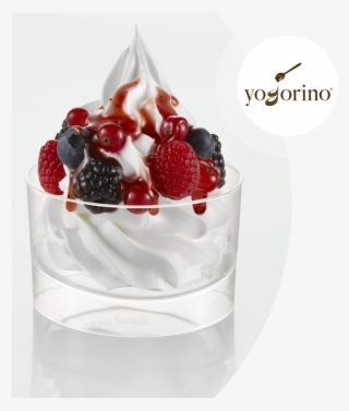 The Frozen Yogurt Loved By The Whole Planet - Frozen Yogurt
