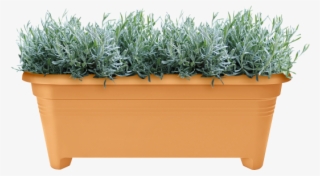 Home > Collection > Green Basics Long - Flowerpot