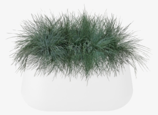 Home > Collection > Pure Cone Long - Grass