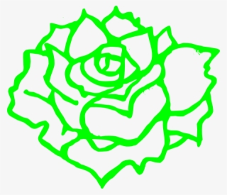Floral Png