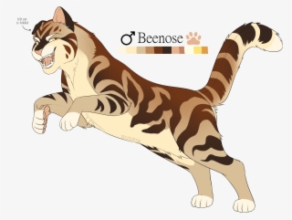 Details - Domestic Short-haired Cat