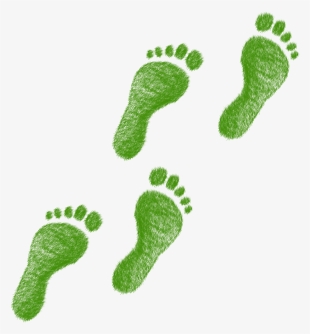 Environmental Footprint - Ecological Footprint