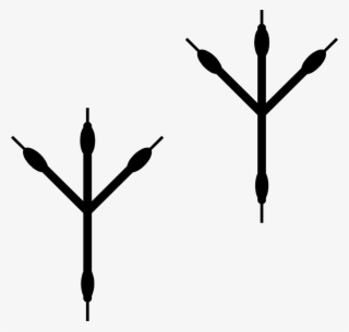 Marks, Bird, Footprints, Claws, Tracks, Markings, Mark - Bird Footprint Clipart