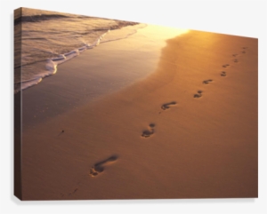 Then That I Carried You Verse