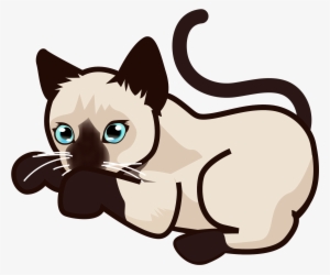 File Peo Siamese Kitten Svg Wikimedia Commons - Cats Transparent Siamese