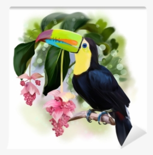 Rainbow Toucan Watercolor Drawing Wall Mural • Pixers® - Toucan Png