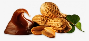 Almondy Cake With Caramel And Peanut