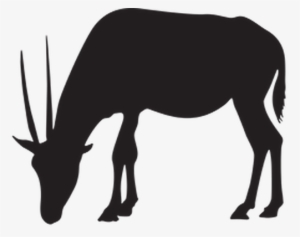Animal Silhouettes The Arts Image Pbs - Gazelle Silhouette Png