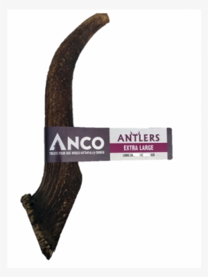 Antler