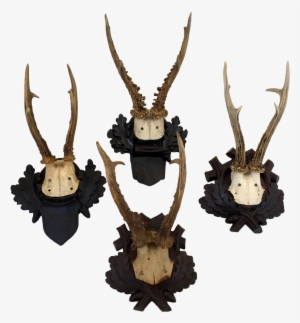 Antler Mounts