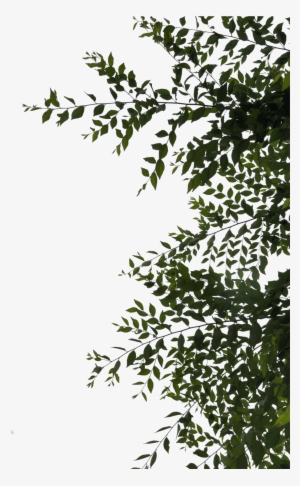 Sidebar Or Overhang Leaves Png By Evelivesey - Leaves Png Deviantart