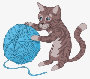 Cat - San Francisco