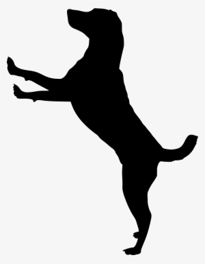 Silhouette, Dog, Doggy, Animal, Dog House, Pet, Run - Dog Jumping Silhouette