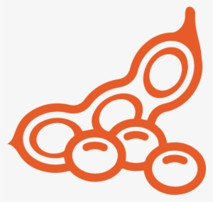 Sharkfarmer Icons Soybeans Orange - Canada Common Food Allergens