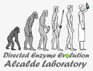 Miguel Alcalde Laboratory - Laboratory