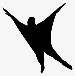 Flying Humanoid Sightings Continue To Come From Chicago - Fortean Society
