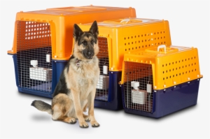 Our Airline Approved Travel Crates Are Made For Your - Jet Pets Dog Crates