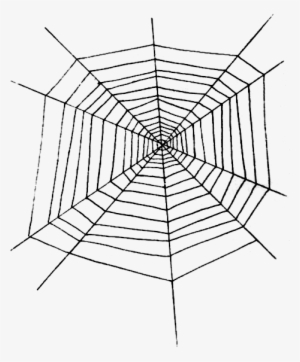 Cobweb - Made It With My Bum