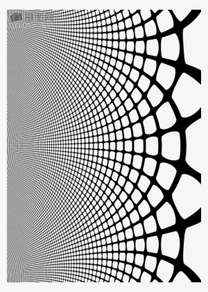 Spider Web - Circle