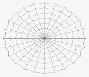 Mb Image/png - Teia Homem Aranha Vetor