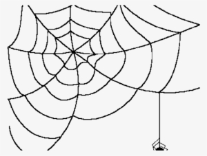 Drawn Spider Web Transparent Background - Spider Web Transparent