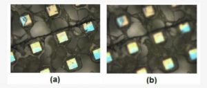 Optical Image Of The Cobweb Tenax Ta, And (b) Are - Smartphone