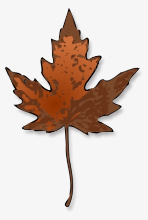 Maple Leaf Autumn Leaf Color Red Maple Drawing - Maple Leaf Clip Art