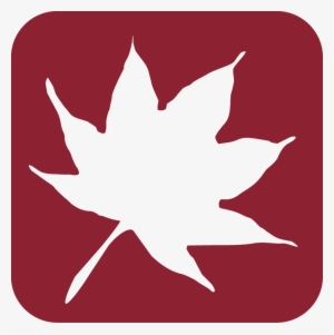 Been The Japanese Maple On The Corner Of 16th And State - Hansen-spear Funeral Home