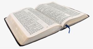 Clip Free Clipart Open Bible - Bible On White Background