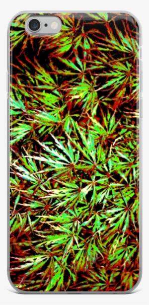 Japanese Maple Iphone Case - Iphone