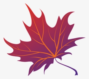 Japanese Maple Png
