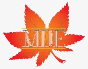 Through Some Discussion The Client Decided To Use Momiji - Logo