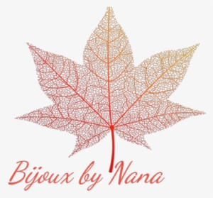 Additional Information - Autumn