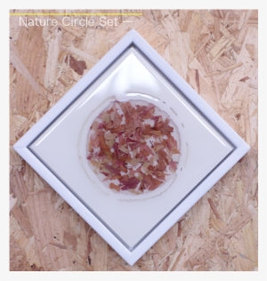 Nature Circle Set 1 Front Home B Japanese Maple Gillies - Granita