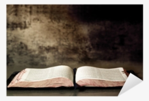 One Book One Story [book]
