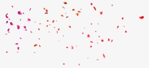 Flower's Effect's Png ❤❤ - Illustration