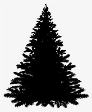 Download Png - Balsam Fir Tree Silhouette