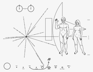 Pioneer Plaque - Pioneer Plaque Png