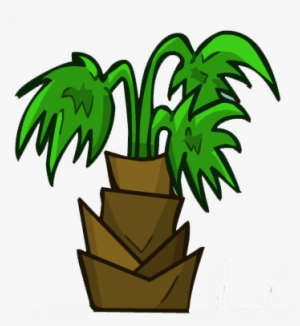 Tropical Tree Medium - Illustration