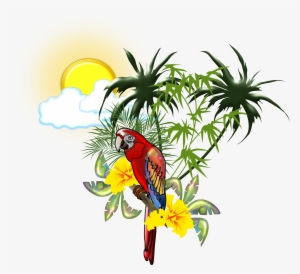 Tropical Guacamaya Hd