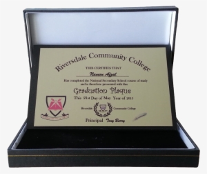 9"x12" College Graduation Plaque On Brass Plate - Trophy