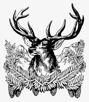 Old Ship Xmas Web Image