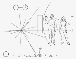 303 × 240 Pixels - Pioneer Plaque Png