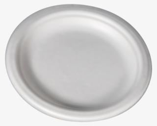 New Wave Bagasse Plate 6" - Plate